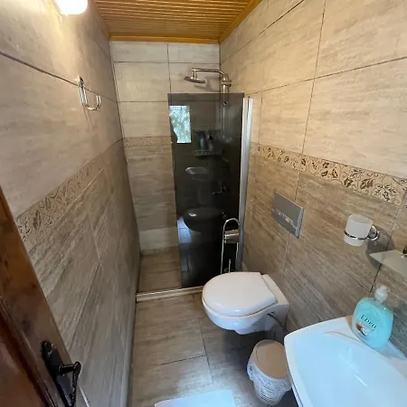 Gazde/Camere de închiriat Mystic