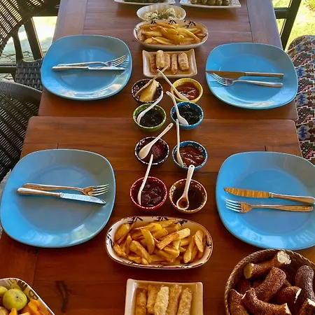 Gazde/Camere de închiriat Mystic *